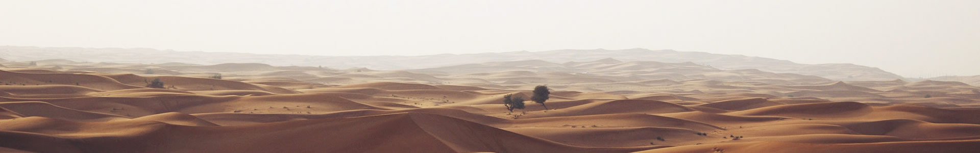 㽭ԴƼ޹˾